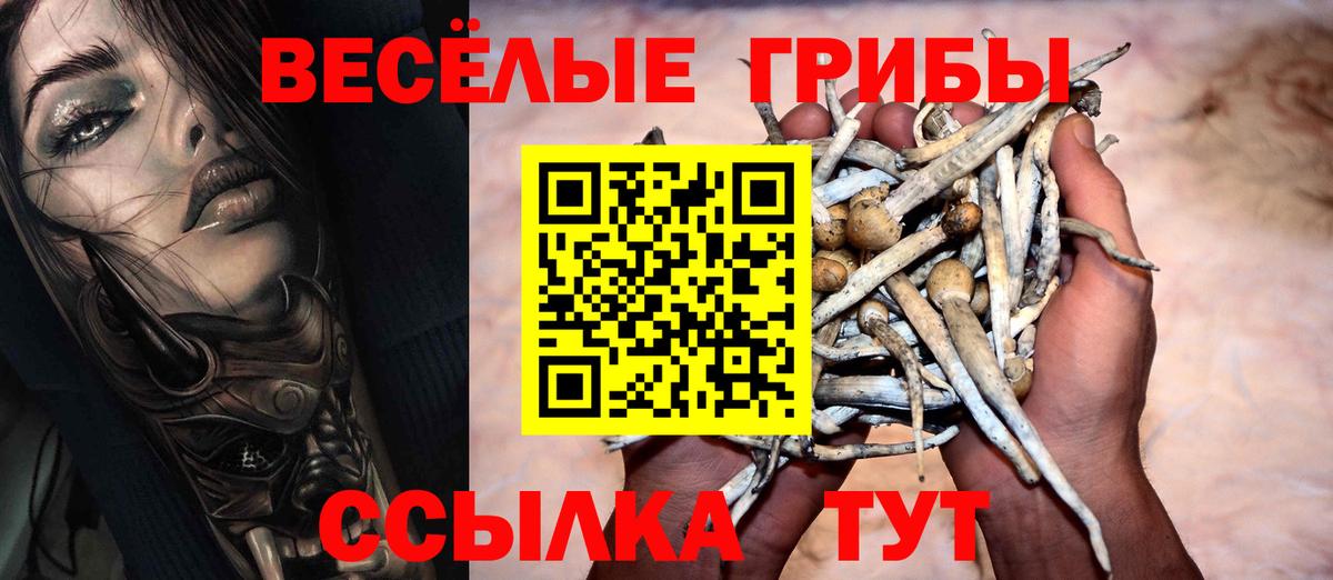 Псилоцибиновые грибы мухоморы Жигулёвск